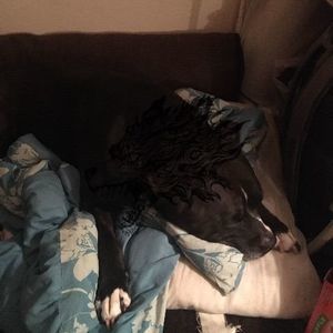 Meet your Posher, Billie jo